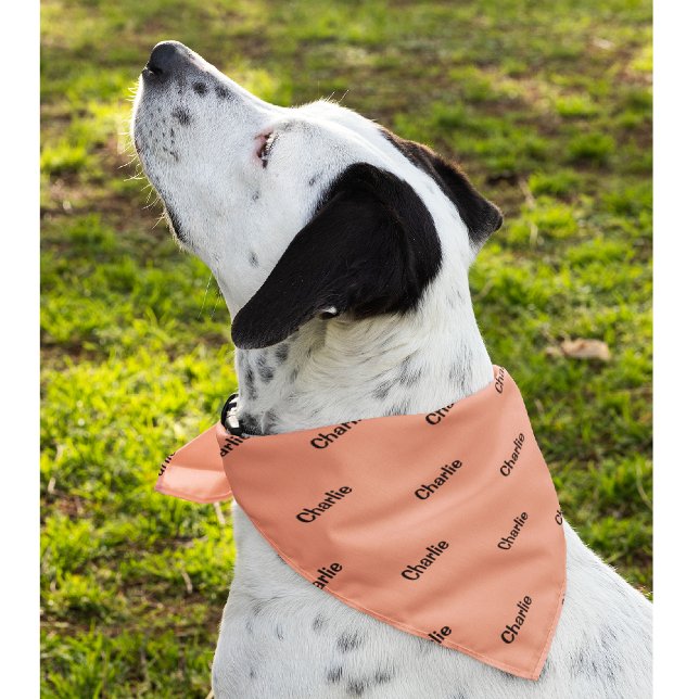 Salmon, Create Your Own Pet Dog Name Bandana (Creator Uploaded)