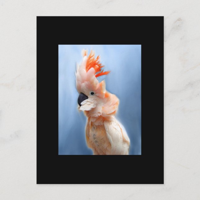 Salmon Crested Cockatoo ACEO Art Trading Card (Front)