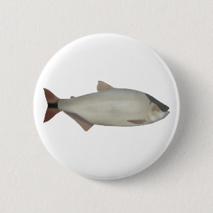 Salmón de rio button