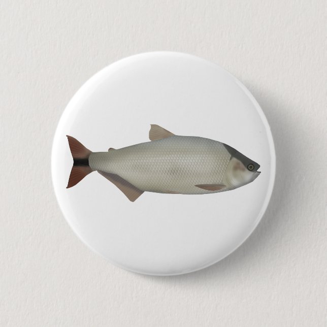Salmón de rio button (Front)