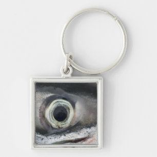 Salmon Eye Keychain