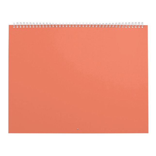 Salmon #F38367, Pink Daisy Calendar (Cover)