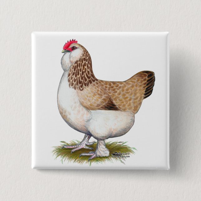 Salmon Faverolle Hen Pinback Button (Front)