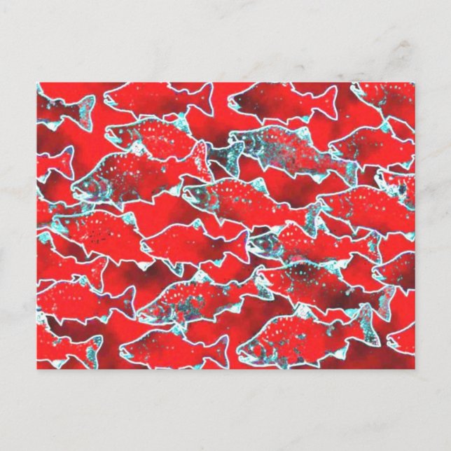 SALMON FISH REDS POSTCARD (Front)