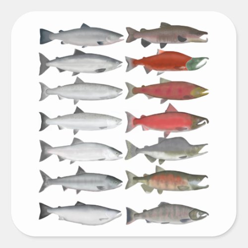 Salmon Group Square Sticker