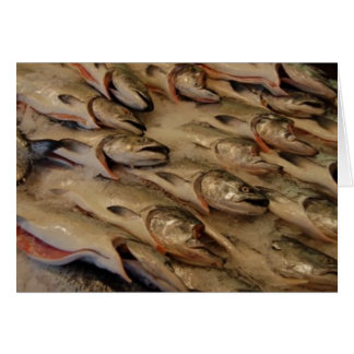salmon heads cards