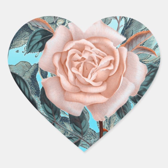 Salmon  Pink shabby rose Heart Sticker (Front)