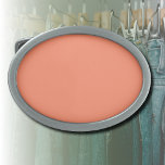 Salmon Pink Solid Color | Trendy Color Belt Buckle<br><div class="desc">Salmon Pink Solid Color | Classic Design | Elegant Product | Trendy Color | Stylish and Fashion | Gift</div>