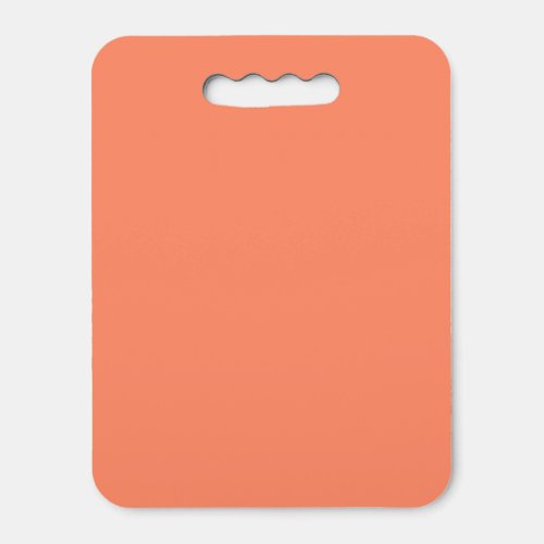 Salmon Pink Solid Color  Trendy Color Seat Cushion