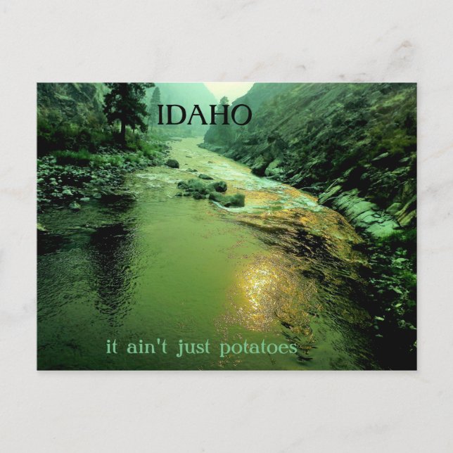Salmon River in Idaho Postcard (Front)