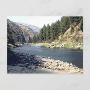 Salmon River Summer Postcard