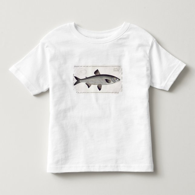Salmon (Salmo Maraena) plate XXVII from 'Ichthyolo Toddler T-shirt (Front)