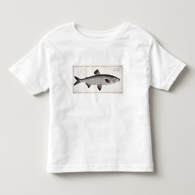Salmon (Salmo Maraena) plate XXVII from 'Ichthyolo Toddler T-shirt (Front)