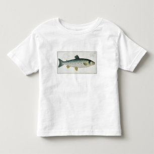 Salmon (Salmo Salar) plate XX from 'Ichthyologie, Toddler T-shirt
