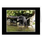 "Salmon Spotting" Black Bear Gifts (Front Horizontal)