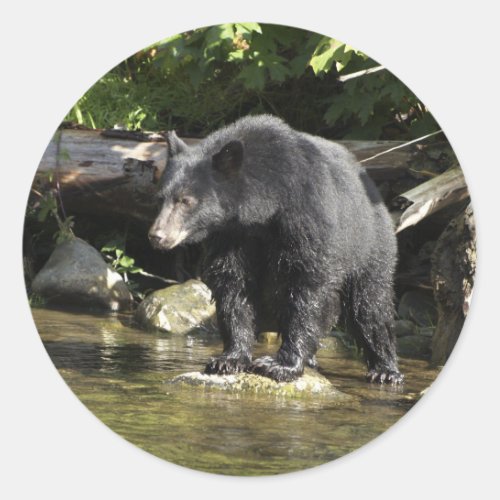 Salmon Spotting Black Bear Gifts Classic Round Sticker