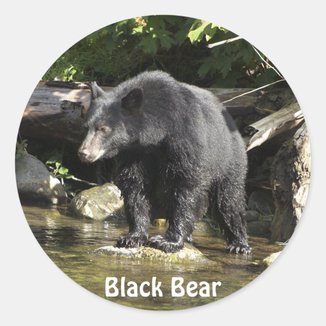 "Salmon Spotting" Black Bear Sticker Gifts (Front)
