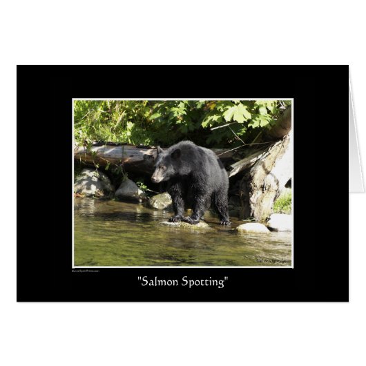 "Salmon Spotting" Cards (Front Horizontal)