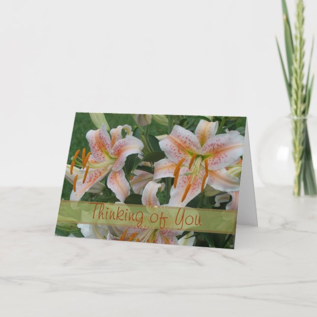 Salmon Star card for any occasion (Front)