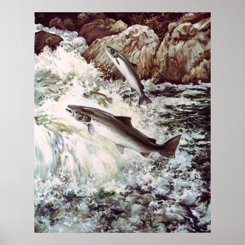 salmon swimming upstream poster