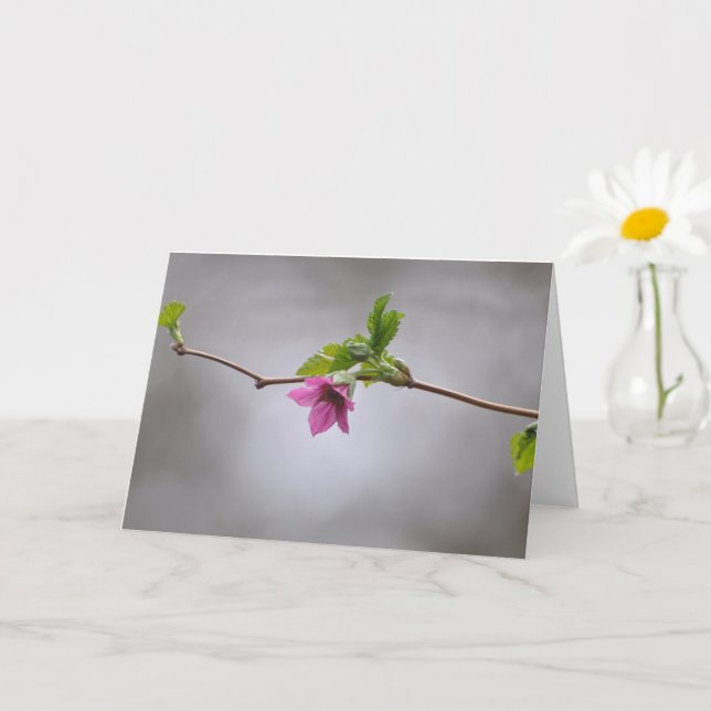 Salmonberry Blossom Frameable Art Card (Small Plant)