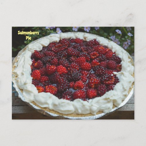 Salmonberry Pie Photo Postcard