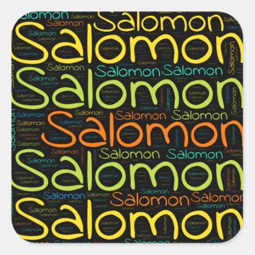 Salomon Square Sticker