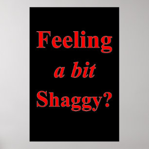 Salon Barbershop Posters Feeling a Bit Shaggy