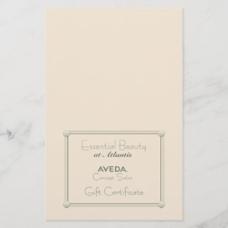Salon Gift Certificate (DIY Folding) Flyer