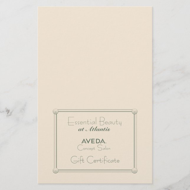 Salon Gift Certificate (DIY Folding) Flyer (Front)