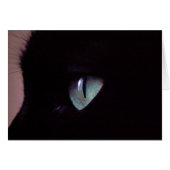 Salsa Super Zen (Front Horizontal)