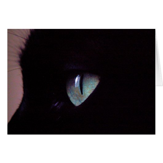 Salsa Super Zen (Front Horizontal)