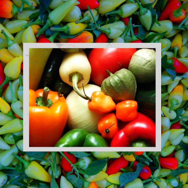 Salsa Vegetables, Tomato, Peppers, Onion Postcard (Creator Uploaded)