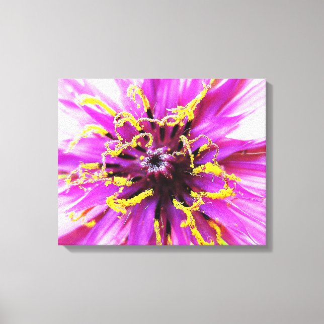 Salsify Flower Canvas Print (Front)