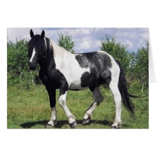 Salt (Front Horizontal)