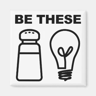 Salt and Light Christian Fridge Magnet