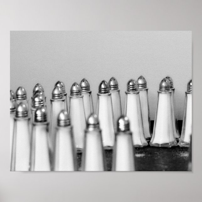 Salt and Pepper Art Photograph Poster (Front)