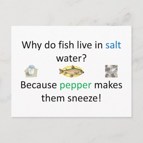 Salt and Pepper Joke Postcard
