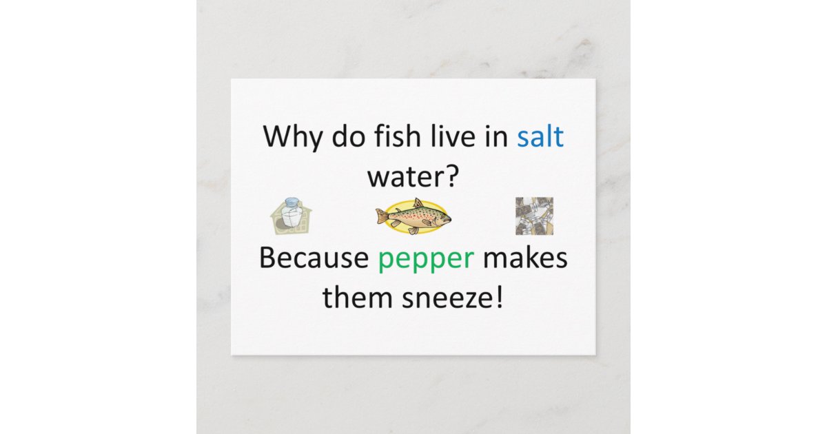 Salt and Pepper Joke Postcard Zazzle