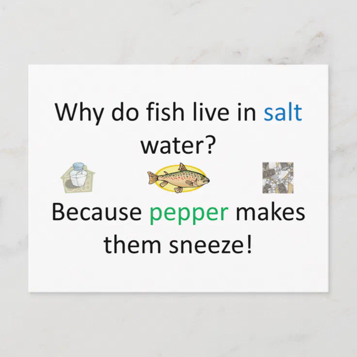 Salt and Pepper Joke Postcard Zazzle