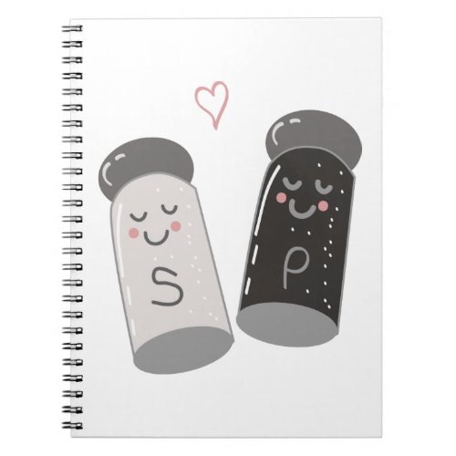 Salt And Pepper Notebook