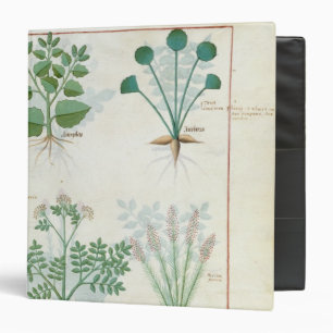 Salt Bush and Anthora Absinthium and Cardamom 3 Ring Binder