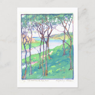 Salt Creek on Cape Cod Print Postcard