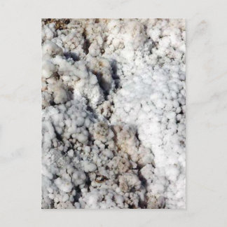 Salt Crystals Postcard