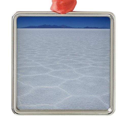 SALT FLATS METAL ORNAMENT