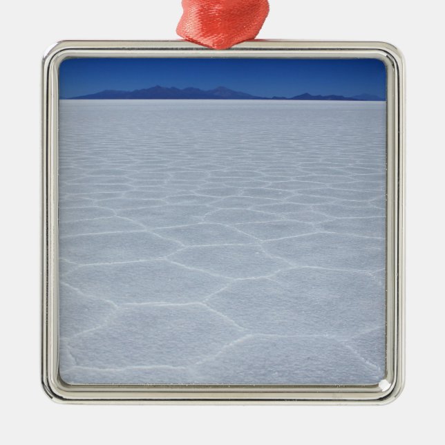 SALT FLATS METAL ORNAMENT (Front)