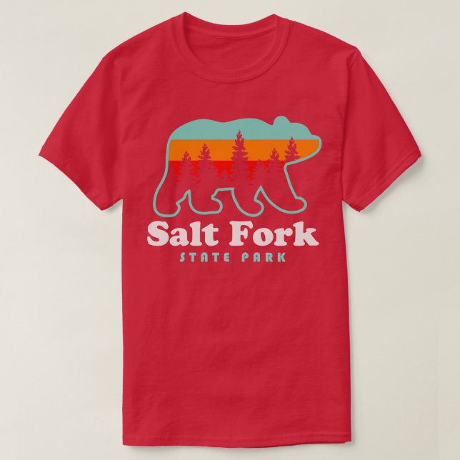 Salt Fork State Park Ohio Bear Retro Sunset T-Shirt (Design Front)
