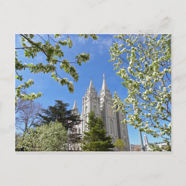 Salt Lake City Temple in Spring. Postcard (Front)