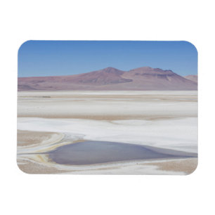 Salt Lake On The Road To Argentina Magnet