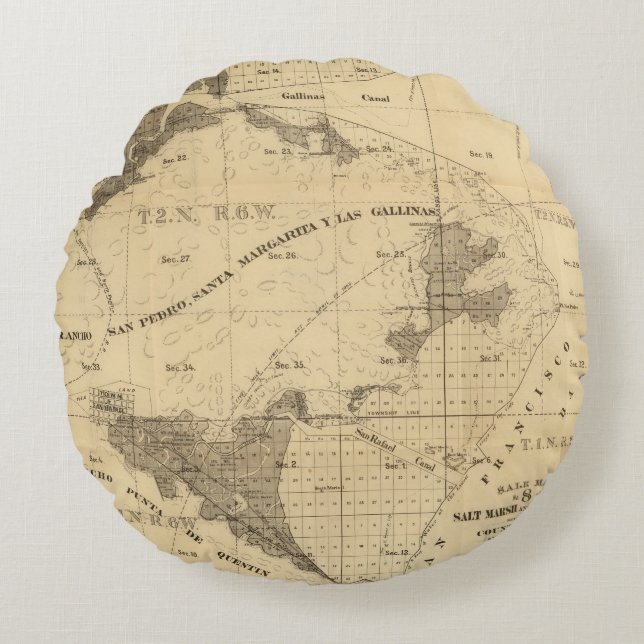 Salt marsh and tide lands round pillow (Front)